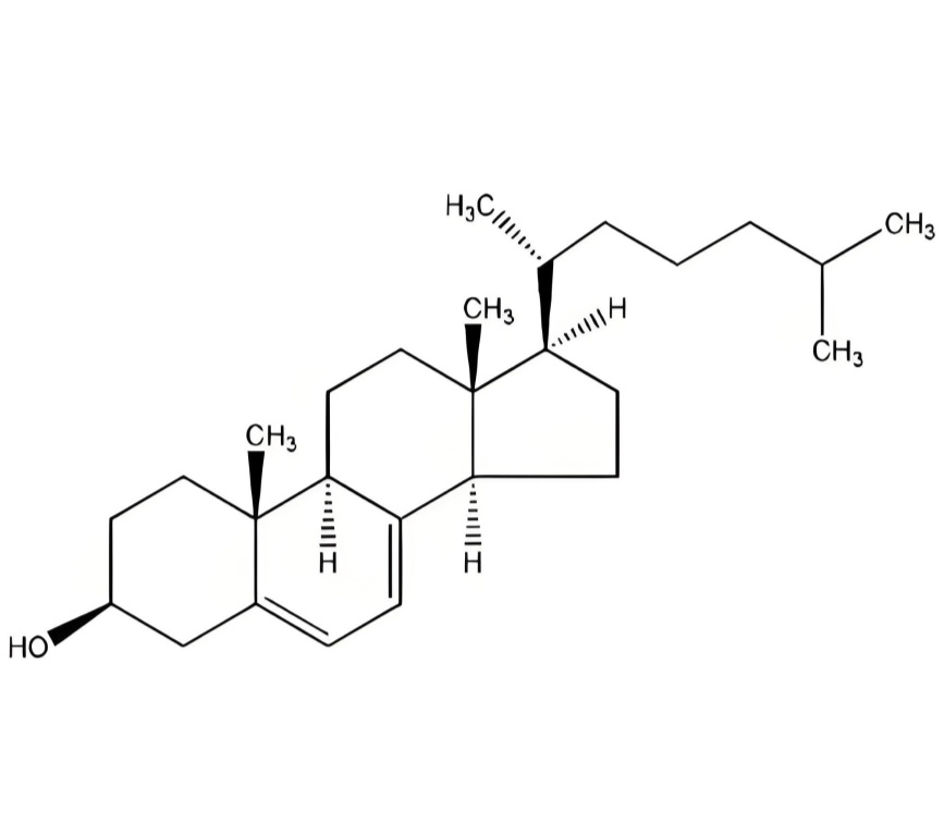 胆固醇（植物源）