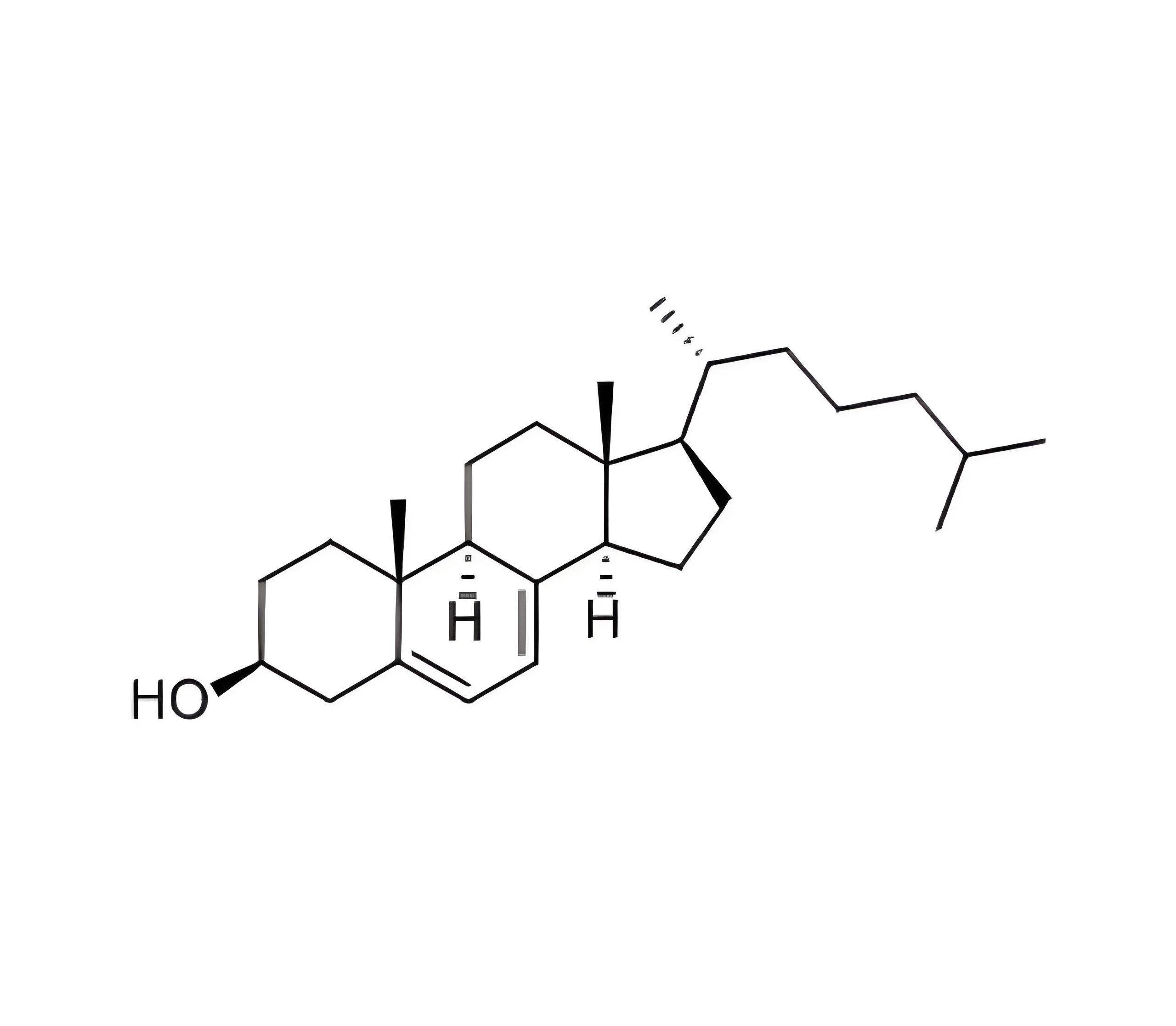 印度・营养原料商
