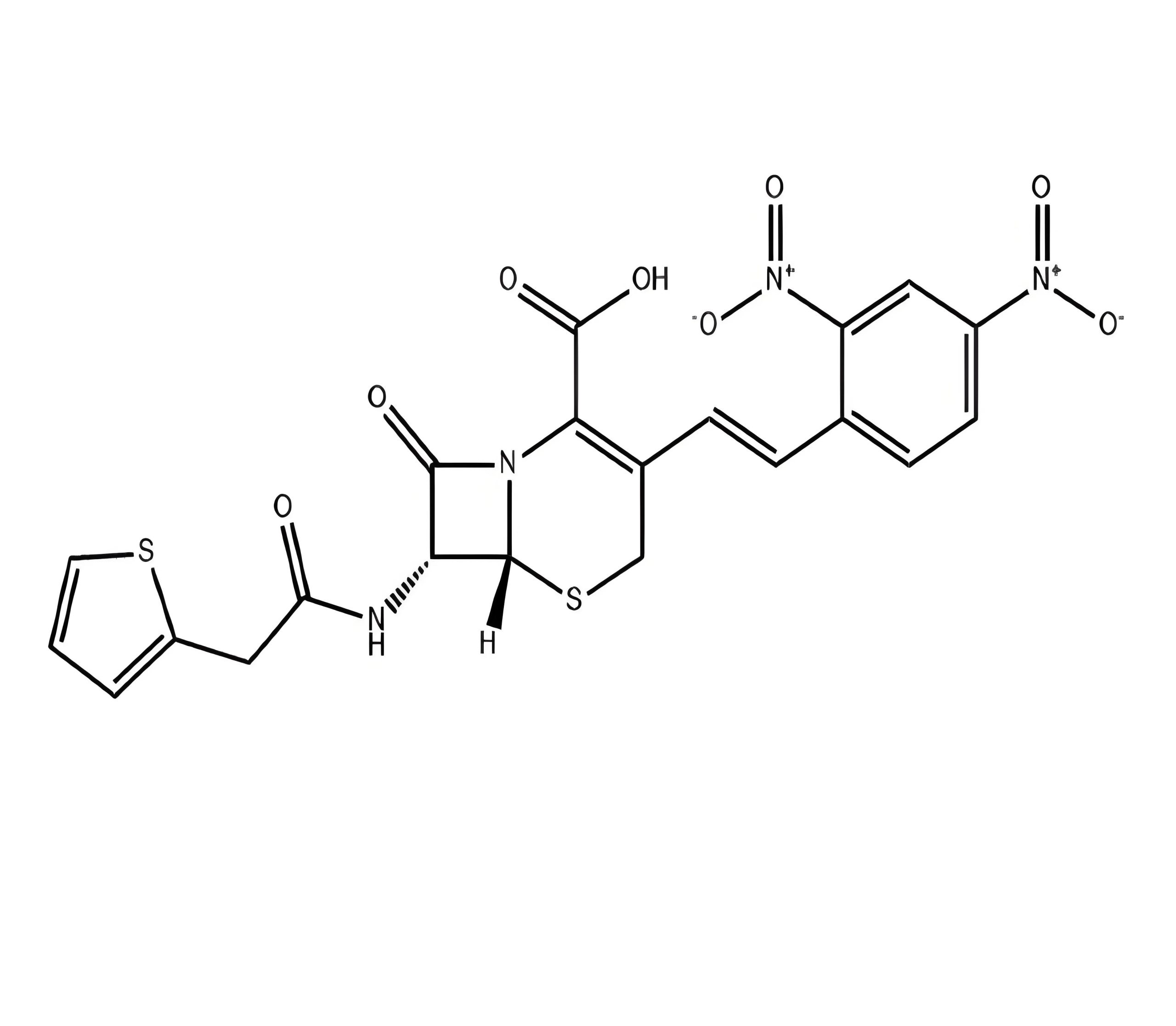 日本・制药公司