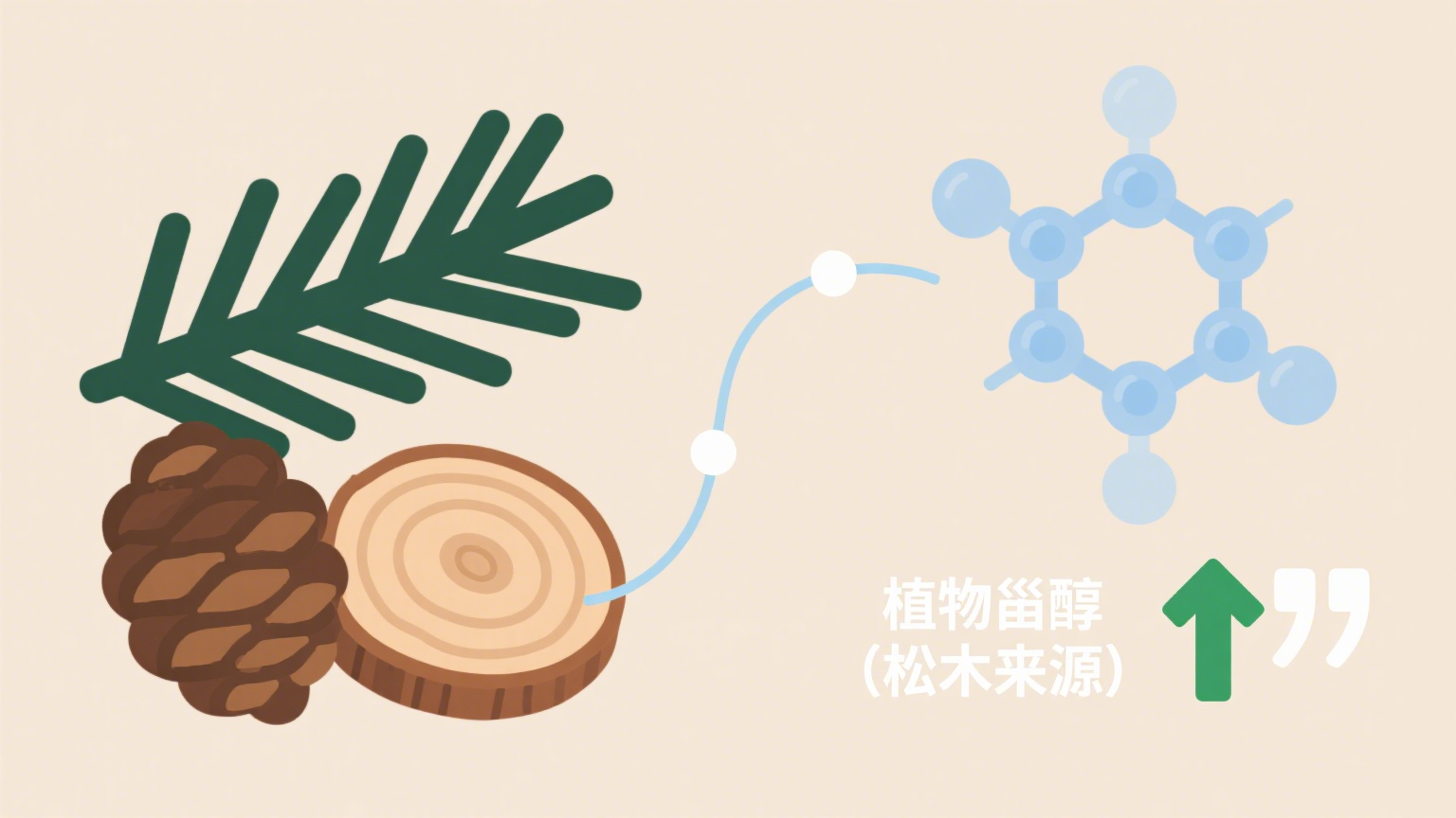 植物源胆固醇及衍生物：突破动物源局限的高端中间体新势力
